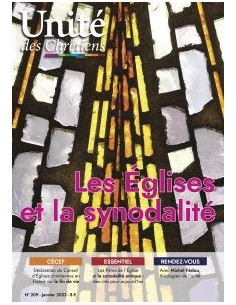 Les Eglises et la synodlité